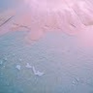 Meet your Posher, Aidan